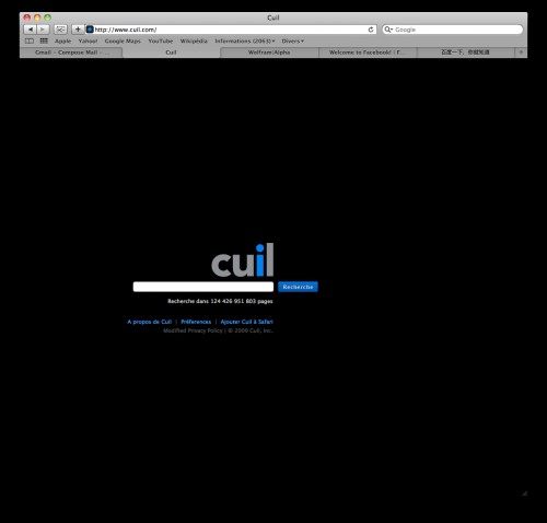 Homepage de Cuil